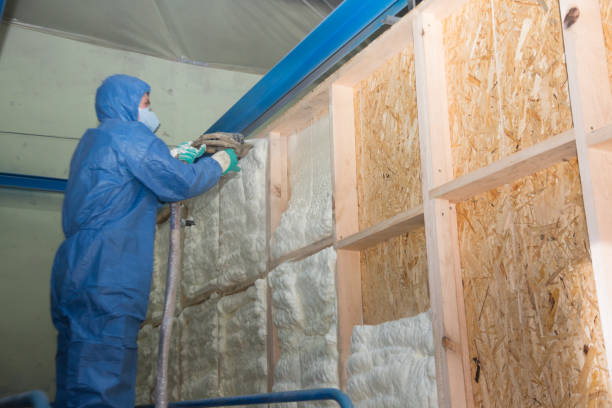 Best Local Insulation Services  in Boulder, CO