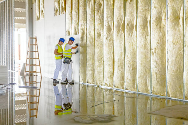 Best Residential Insulation Services  in Boulder, CO